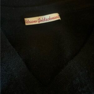 Cashmere Adriano Goldschmied Men's Black V-Neck Sweater